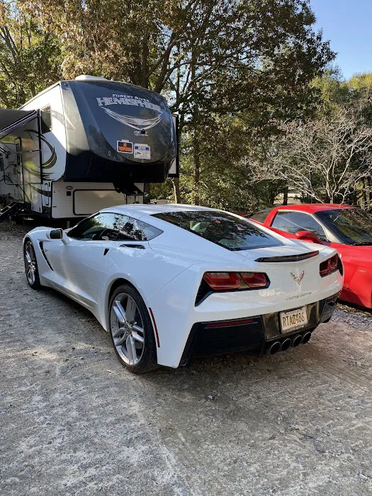 Shope Park Picture 6