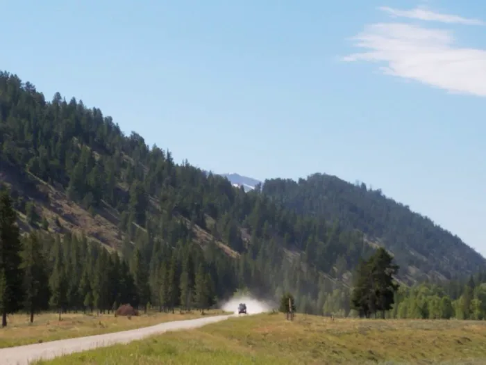 Forest Park Campground Picture 1