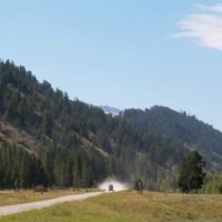 Forest Park Campground ico