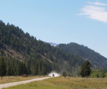 Forest Park Campground