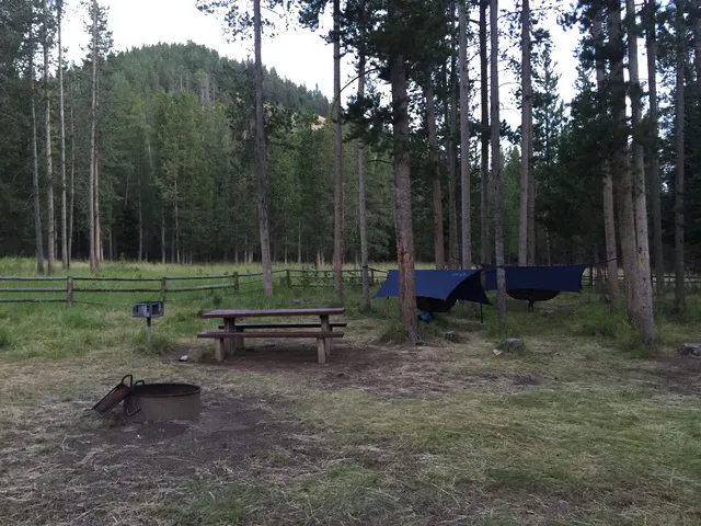 Forest Park Campground Picture 3