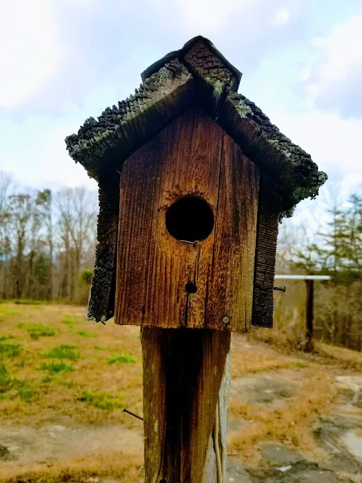 Elkmont Resort, Cleveland GA Picture 1