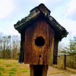 Elkmont Resort, Cleveland GA