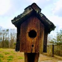 Elkmont Resort, Cleveland GA ico