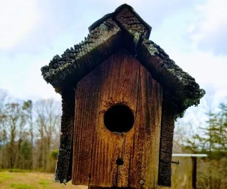 Elkmont Resort, Cleveland GA