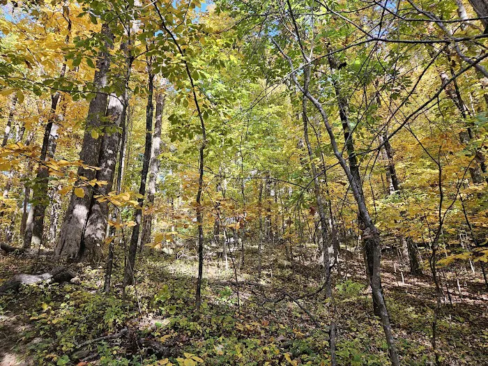 Elkmont Resort, Cleveland GA Picture 4