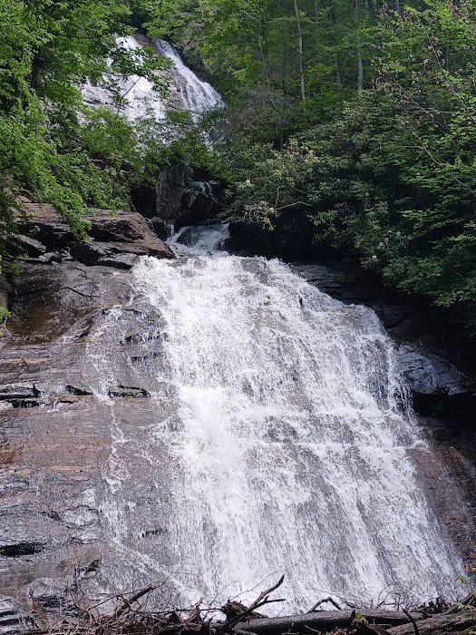 Elkmont Resort, Cleveland GA Picture 8