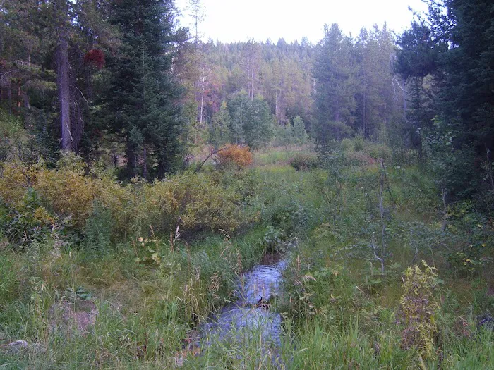 Gravel Creek Campground Picture 2