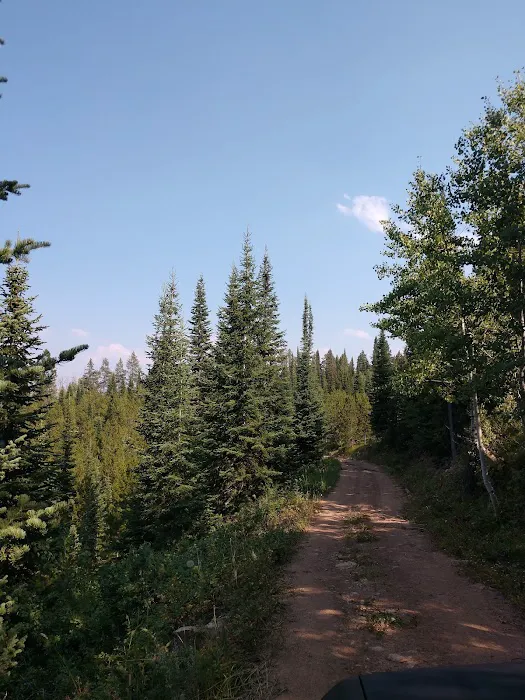 Gravel Creek Campground Picture 3