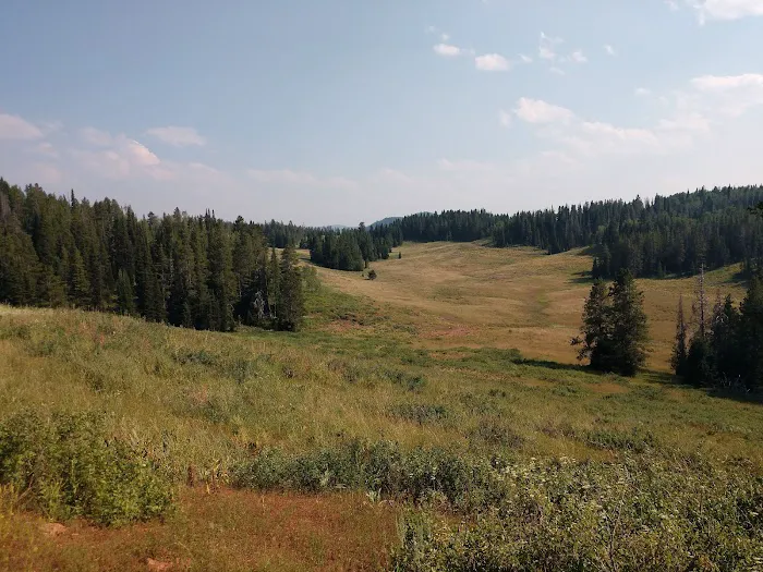 Gravel Creek Campground Picture 4