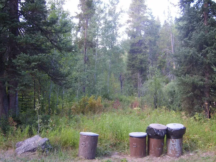 Gravel Creek Campground Picture 6