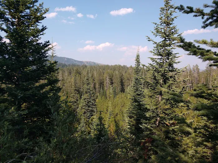 Gravel Creek Campground Picture 10