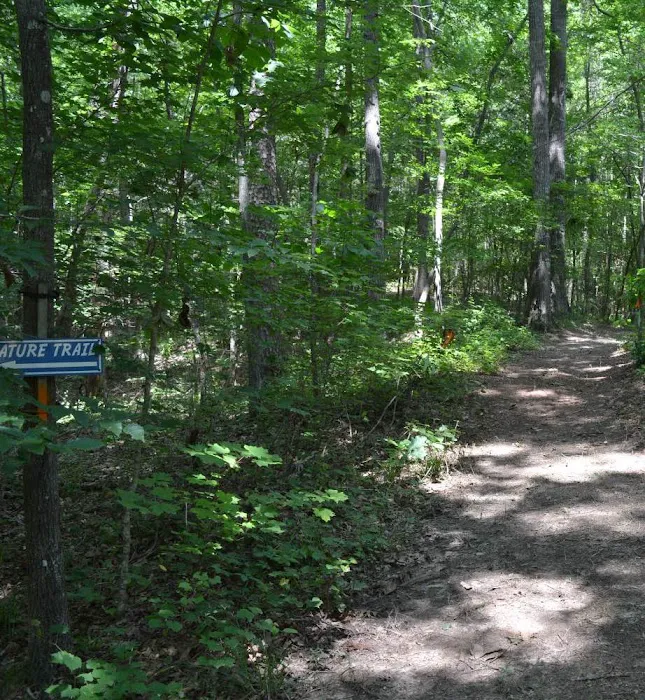 Bell Acres Resort Picture 9