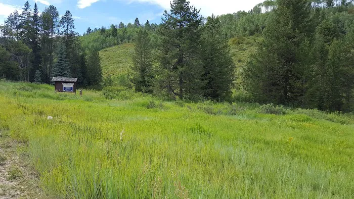 Mill Canyon Campground Picture 1