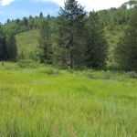 Mill Canyon Campground