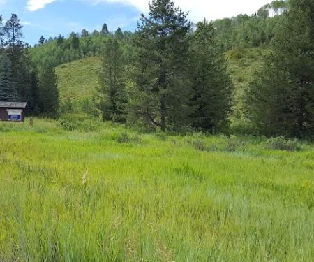 Mill Canyon Campground