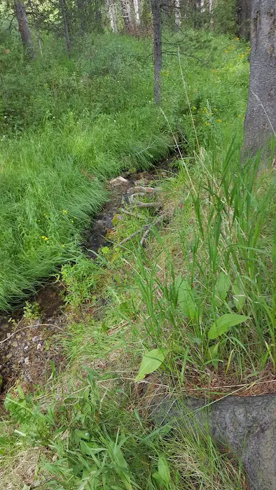 Mill Canyon Campground Picture 2