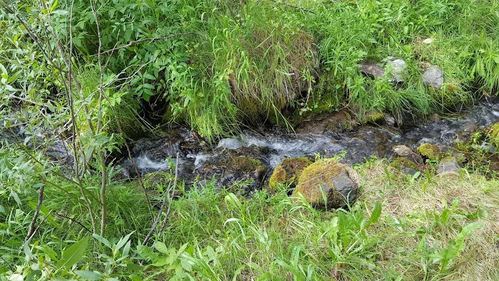 Mill Canyon Campground Picture 3