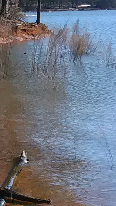 Lake Lanier Mobile Home Community Picture 9