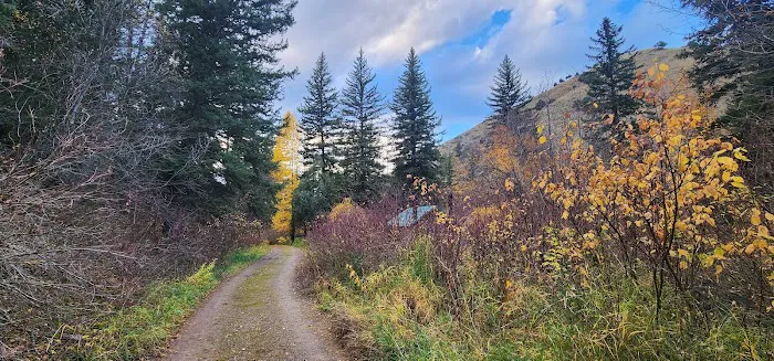 Swift Creek Campground Picture 2