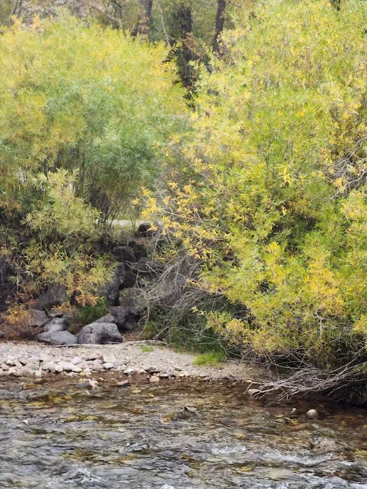 Swift Creek Campground Picture 1