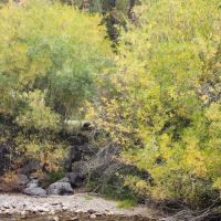 Swift Creek Campground ico