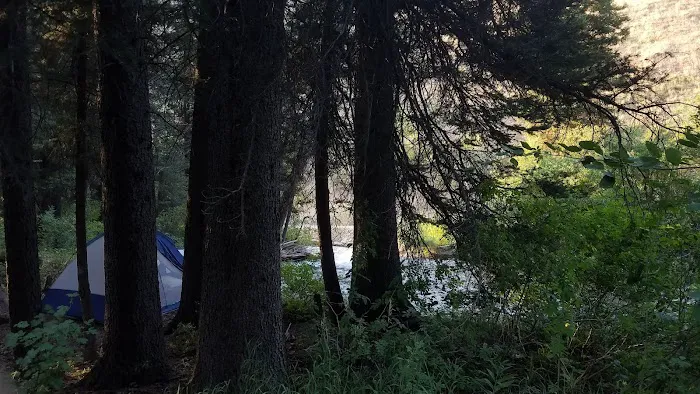 Swift Creek Campground Picture 5