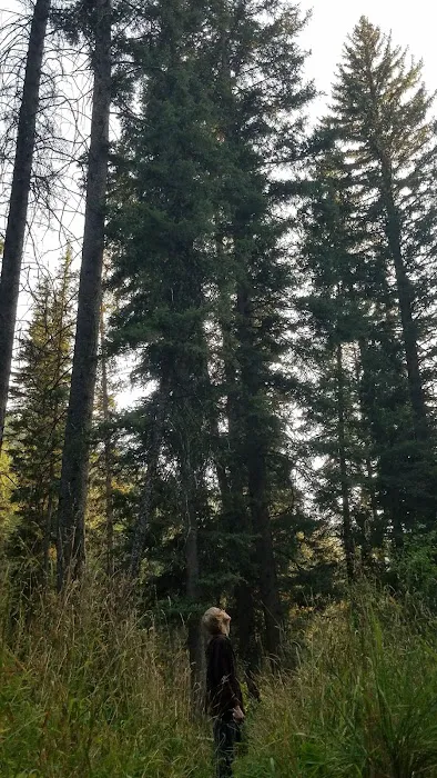 Swift Creek Campground Picture 4