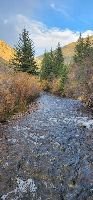 Swift Creek Campground Picture 7