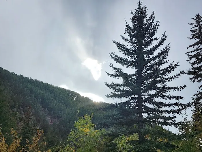 Swift Creek Campground Picture 10