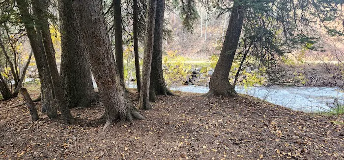 Swift Creek Campground Picture 9