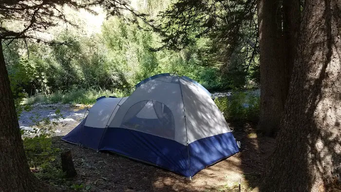 Swift Creek Campground Picture 8