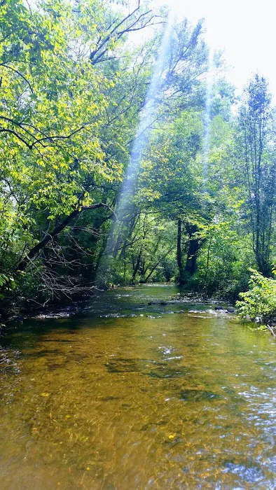 Paradise Valley Campground Picture 3