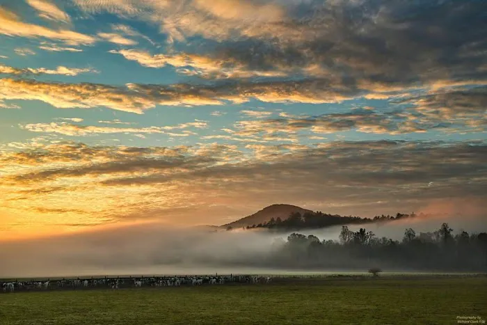 Paradise Valley Campground Picture 4