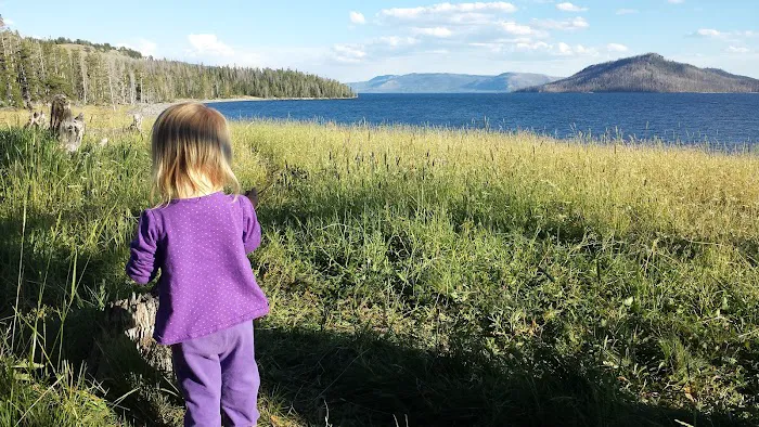 Park Point North Picture 1