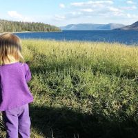 Park Point North ico