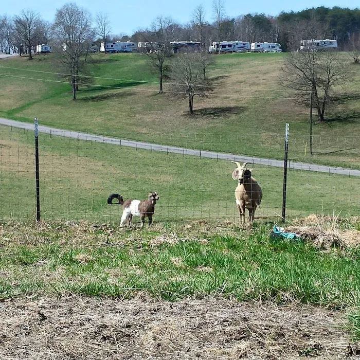 Lazy Acers RV Park Picture 2