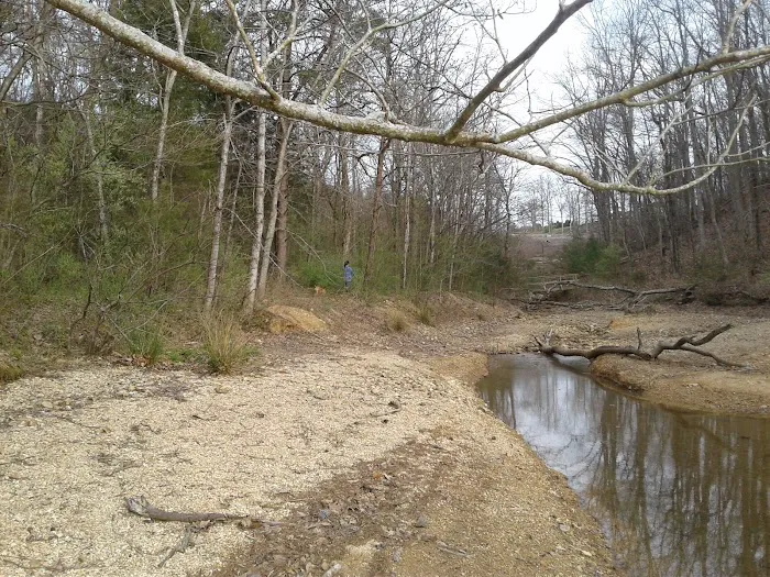 Lazy Acers RV Park Picture 10