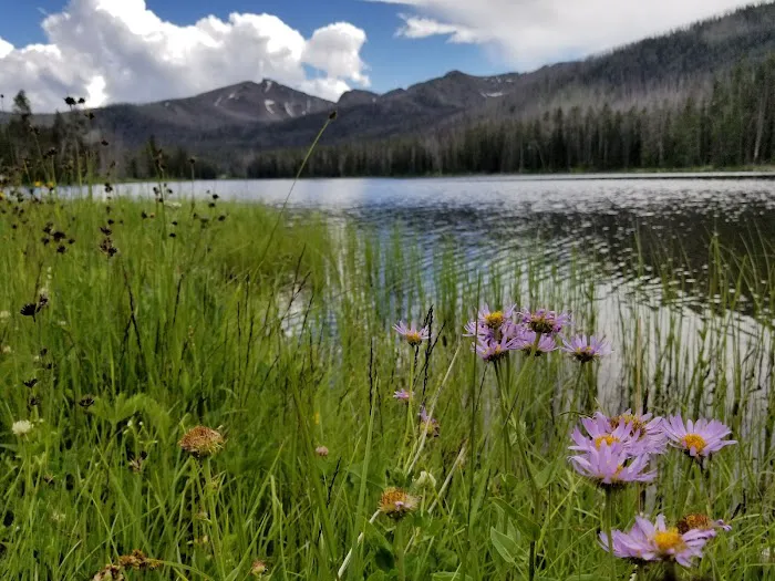 Park Point South Picture 1