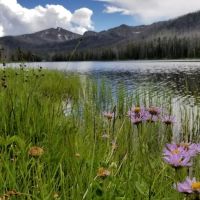 Park Point South ico