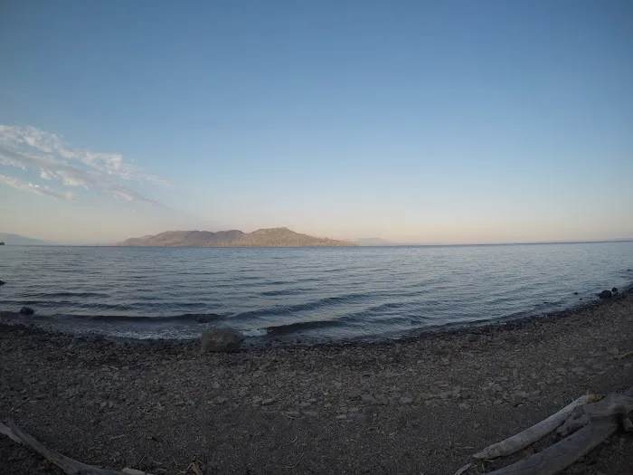 Columbine Meadow Picture 1