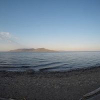 Columbine Meadow ico