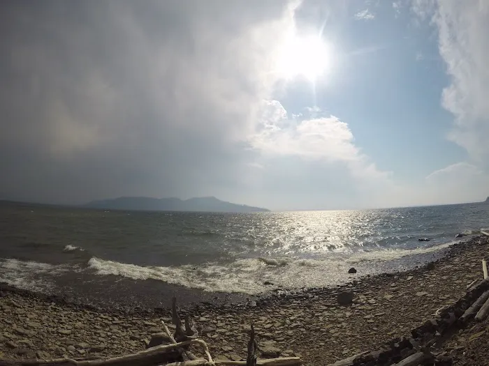 Columbine Meadow Picture 5