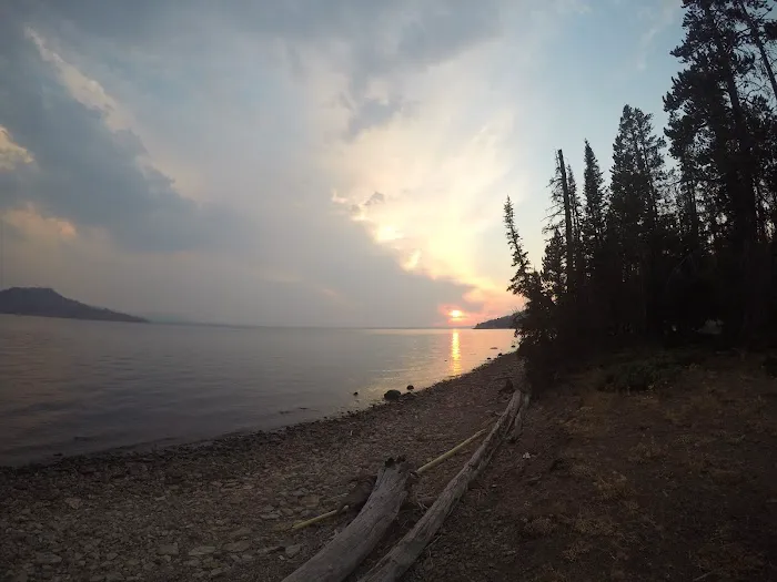 Columbine Meadow Picture 3
