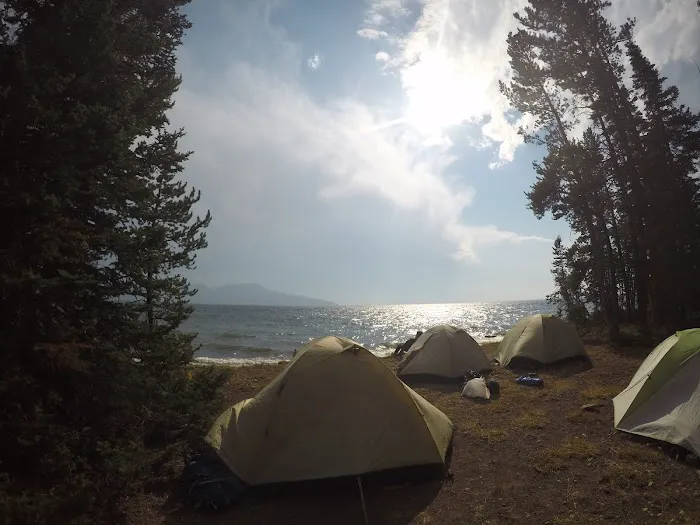 Columbine Meadow Picture 2