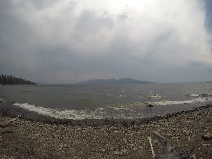 Columbine Meadow Picture 4