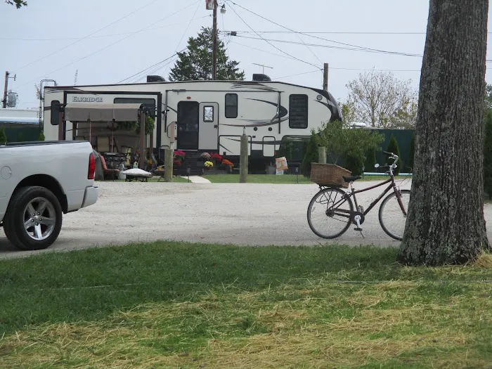 Alan Schneider's Bayside Marina and RV Park Picture 7