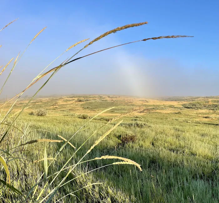 Blackfoot Reservoir Campground Picture 10