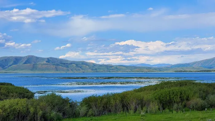 Blackfoot Reservoir Campground Picture 8