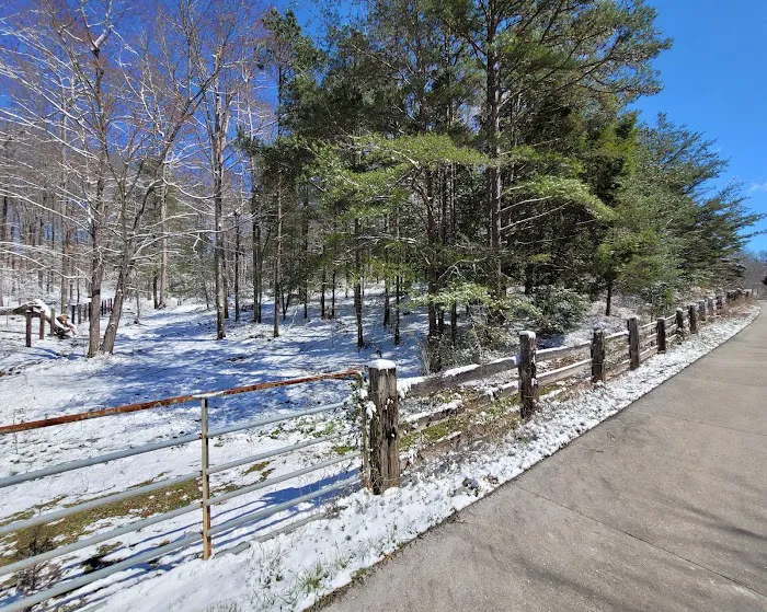 The Hundred Aker Wood Picture 2